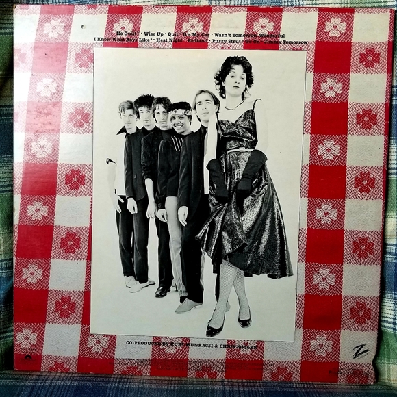 The Waitresses-Wasn't Tomorrow Wonderful Vinyl lp - Picture 3 of 3
